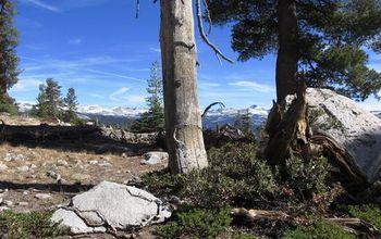 The Southern Sierra CZO