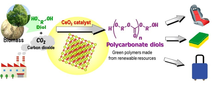 Direct polycarbonate synthesis from flow CO2 and diols with CeO2 catalyst