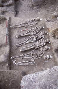 Researchers cover thousands of years in a quest to understand the elusive origins of the Black Death