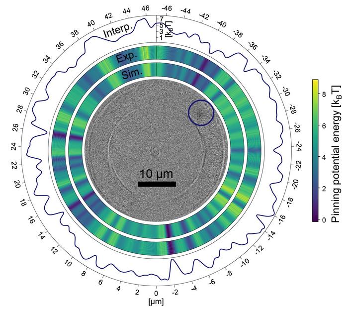 skyrmion dynamics