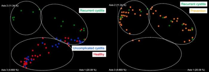 Principal coordinate analysis of vaginal microbiota clusters from four sample groups