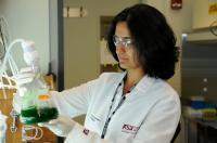ASU Researchers Study Cyanobacteriaum in Hopes of Creating Alternative Energy Sources
