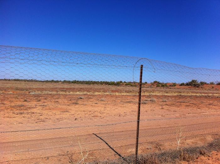 The Dingo Barrier Fence, Australia