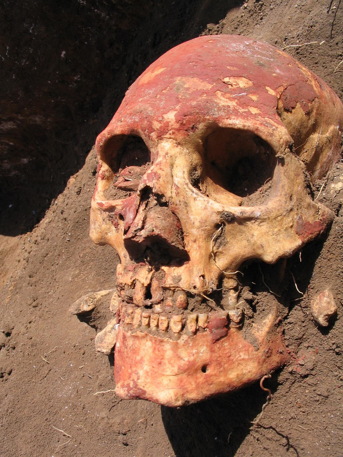 Bronze Age Human Skull