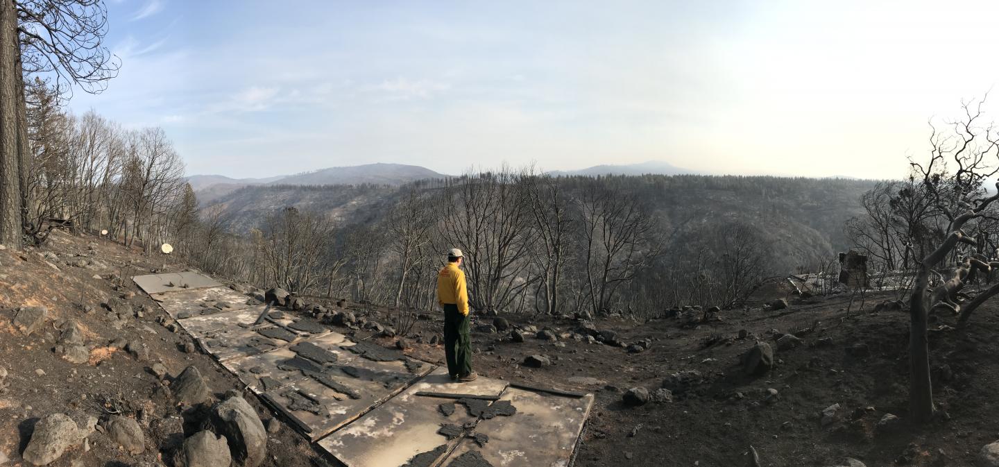 A Landscape Left Barren in the Wake of the Camp Fire