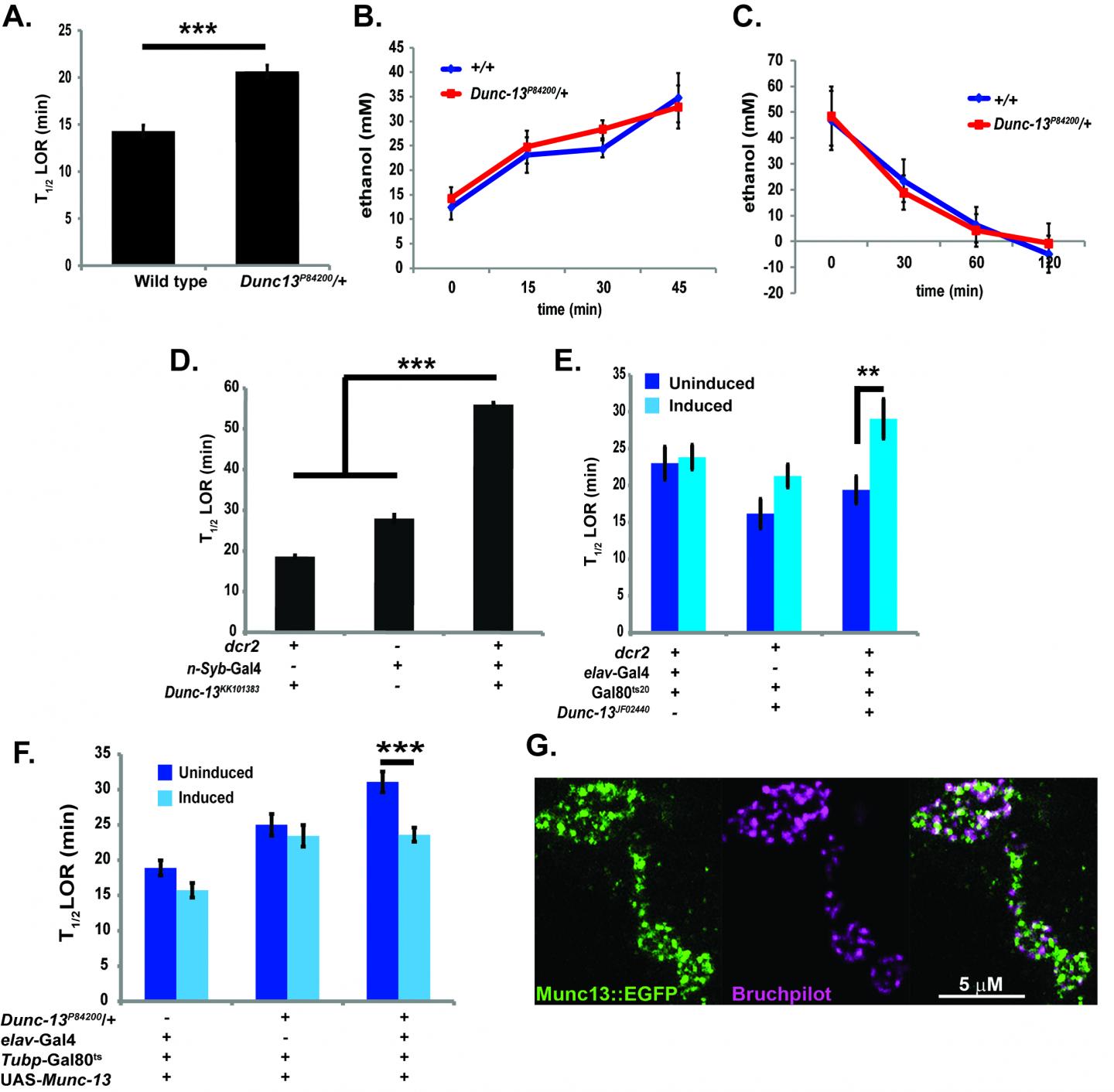 Resistance to Sedation