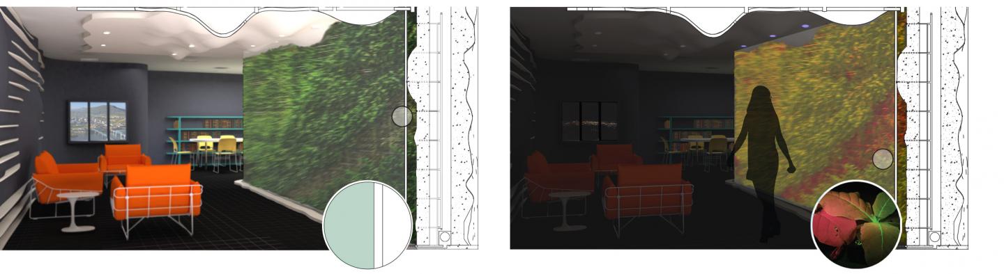 Renderings of Biosensor Walls