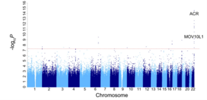Genome-wide association analysis of HHV6 infection (Manhattan plot)