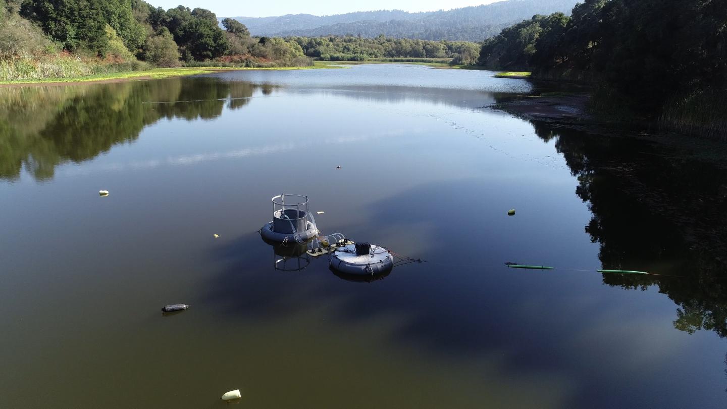 Downwelling field experiment