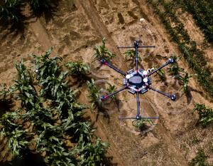 Drones in agriculture