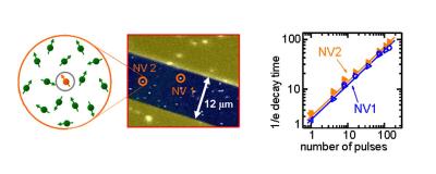 Spins in N-V Centers in Diamond