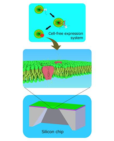 Reshaping Drug Tests