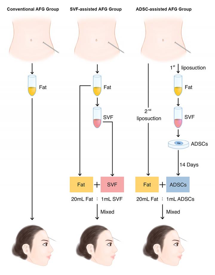 Graphical Abstract