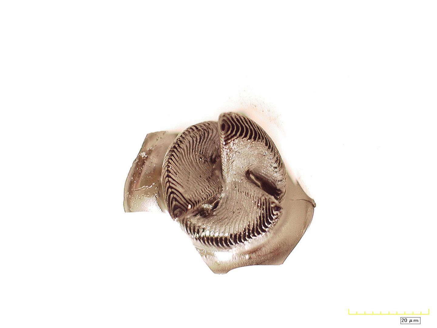 New Technique Offers Strong, Flawless 3-D Printed Ceramics