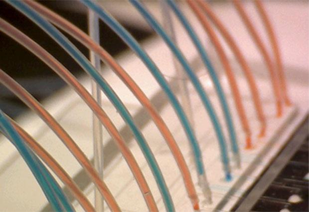 Microfluidic Device in the Merten Lab at EMBL