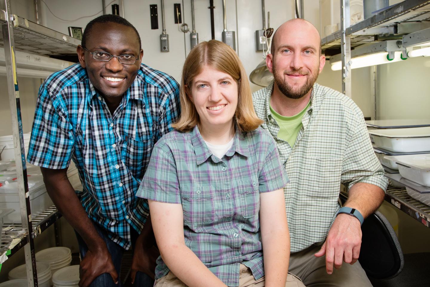 University of Illinois Research Team