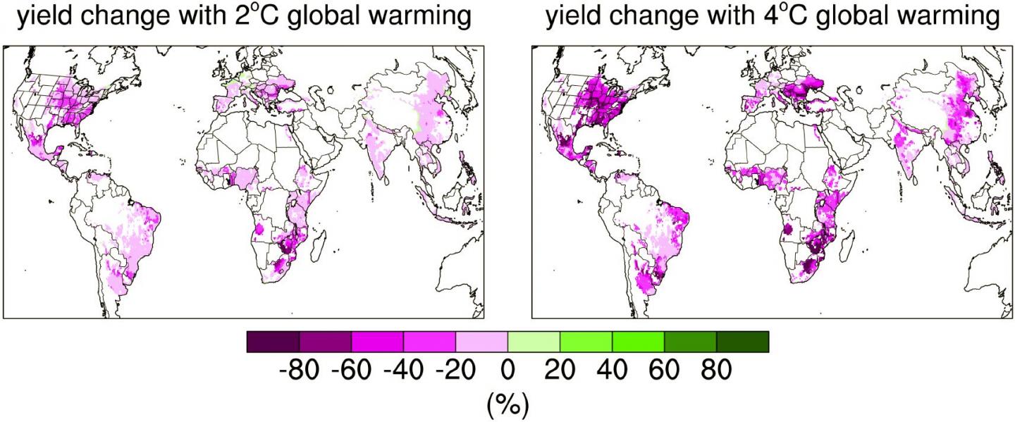 Yield Reduction