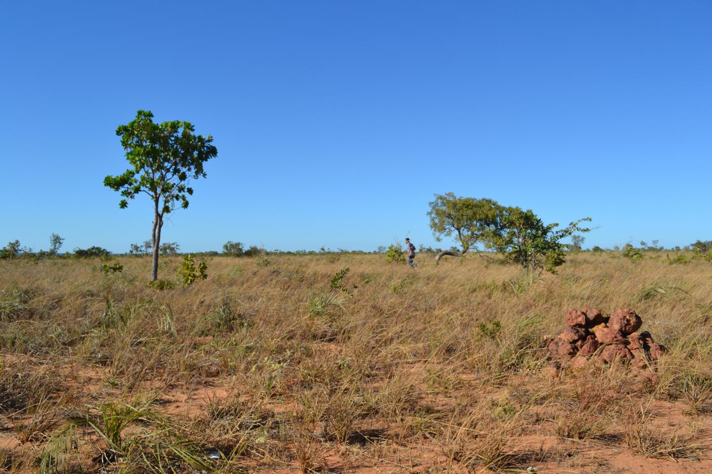 The Cerrado in Brazil