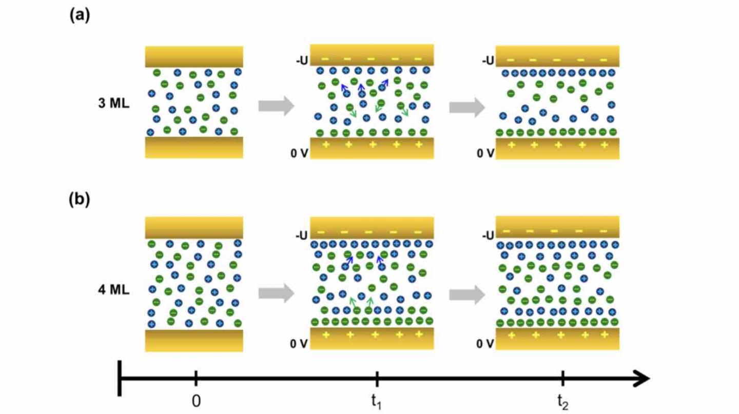 Ionic Reconfigurations Schematic