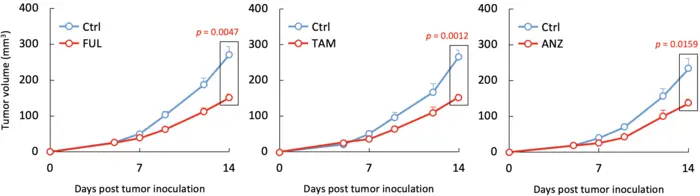 Anti-estrogenic drugs significantly suppressed tumor progression in TNBC tumors