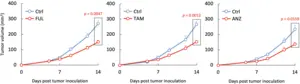 Anti-estrogenic drugs significantly suppressed tumor progression in TNBC tumors