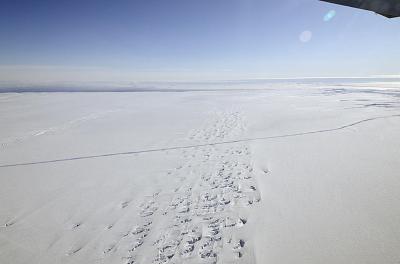 Major Fift in the Pine Island Glacier