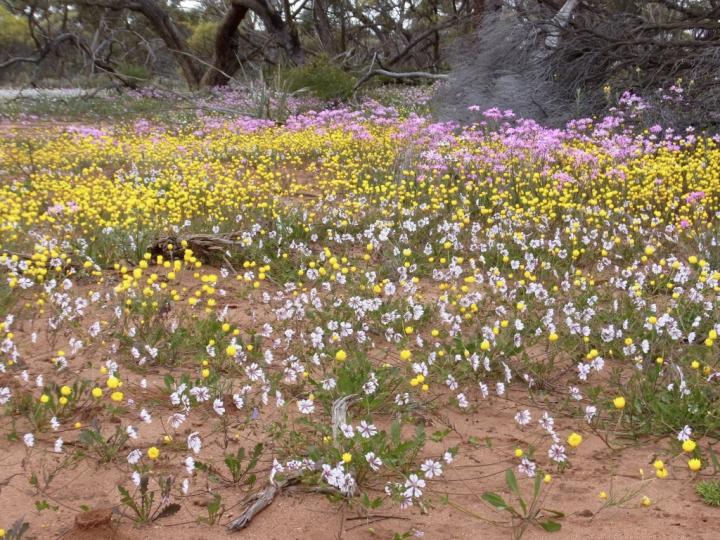 Better Explaining the World around Us