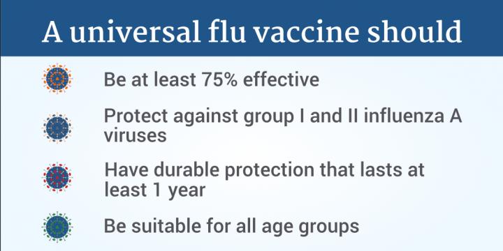 A Universal Influenza Vaccine Should be...