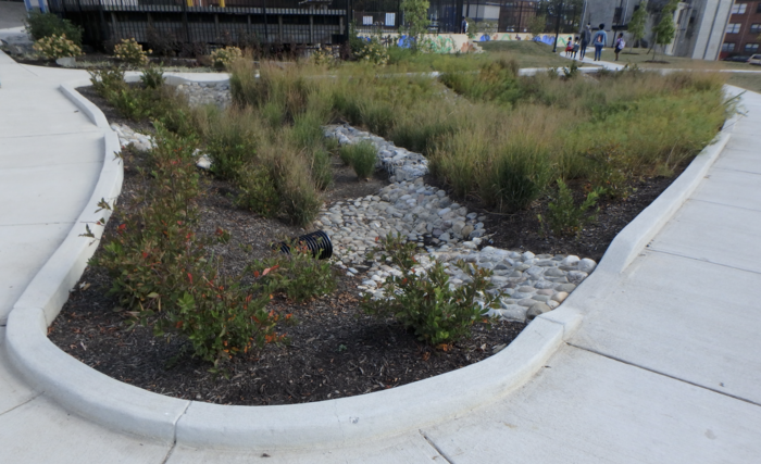 Stormwater management features at the Henrietta Lacks Educational Park in Baltimore, Maryland..