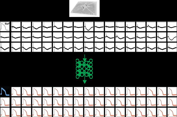 AI reading inside cells - 3