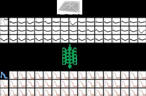 AI reading inside cells - 3