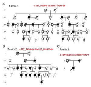 Figure 1: Identification of mutations in the NPRL3 gene in three pedigrees with focal epilepsy