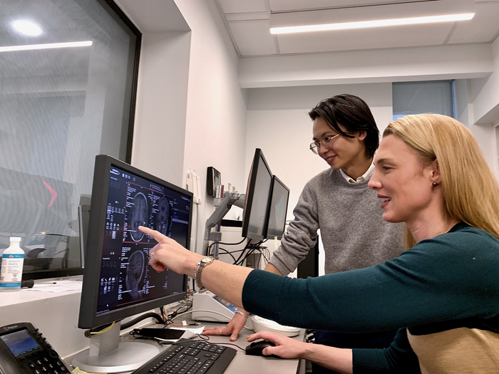 HippoCamera research - reviewing brain scans