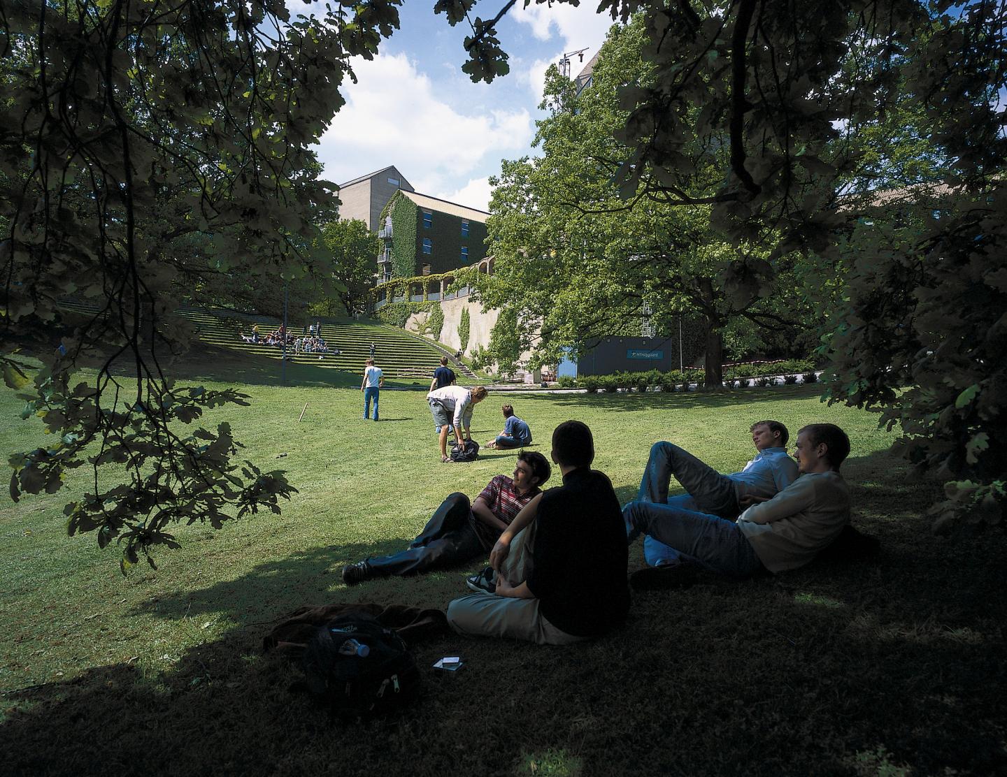 Students at Aarhus University