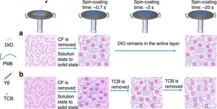 Fig. 5: A schematic diagram illustrating working mechanisms induced by different treatments.