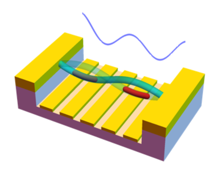 Representation of the flexural mode of a nanotube