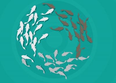 A Tale of 2 Fish Species