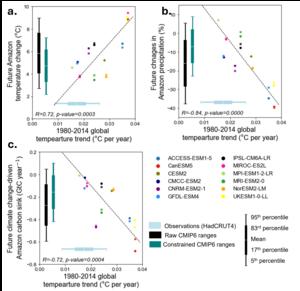 Observational constraints on the future surface climate and climate-driven carbon cycle changes in the Amazon forest region.