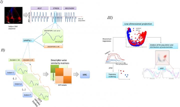 Graphical Abstract