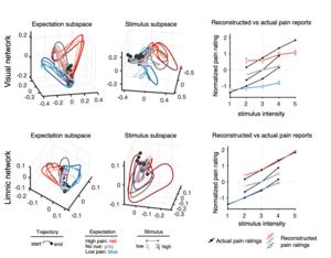 Figure 2. Subspace patterns and comparison of reconstructed vs. actual pain reports