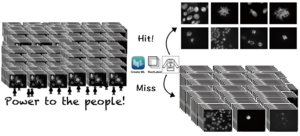 A deep learning-based biological image classifier built using CreateML, a machine learning app from Apple.