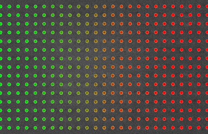 The ultra-sensitive optical sensor