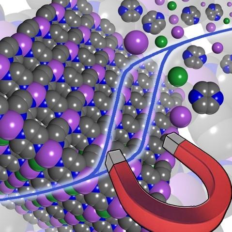 Molecule-based magnet