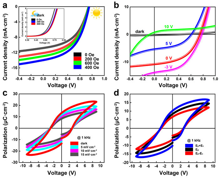 Modulation between multiferroicity and illumination