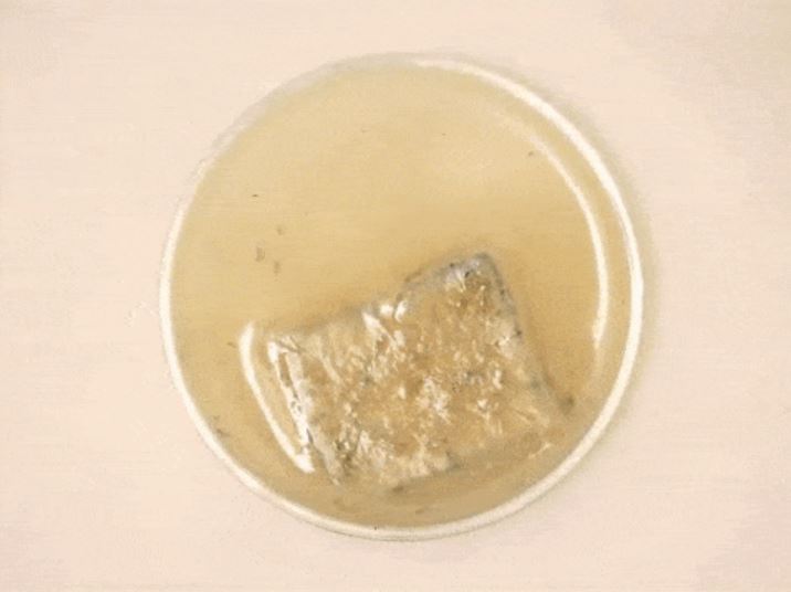 PDK dissolving GIF