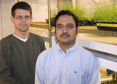 Plant Signaling System Research