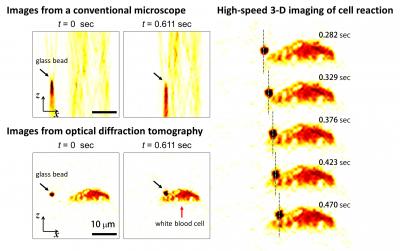 High-Speed 3-D Images Produced by Optical Diffraction Tomography Technique
