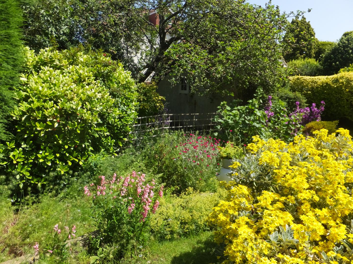 Pioneering research reveals gardens are secret powerhouse for pollinators