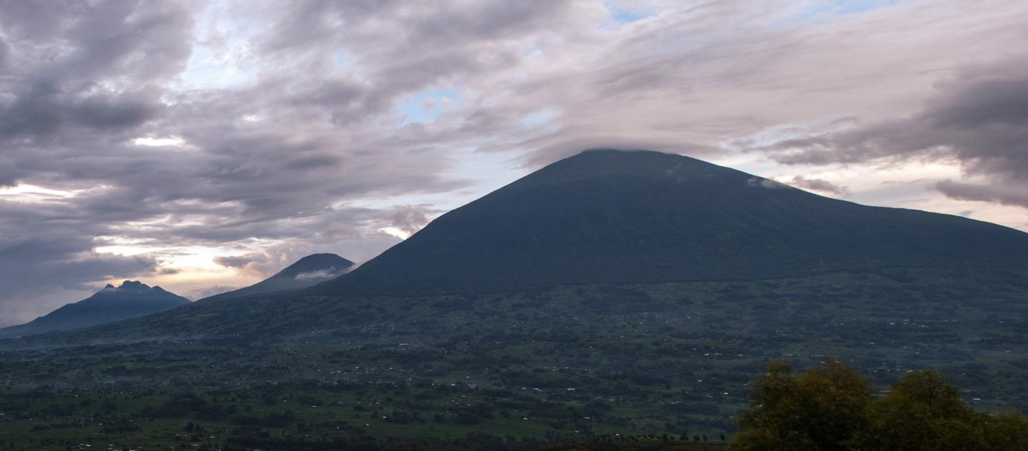 Conserving Protected Areas