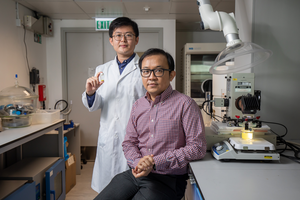 Professor Ng Yun-hau and his research team